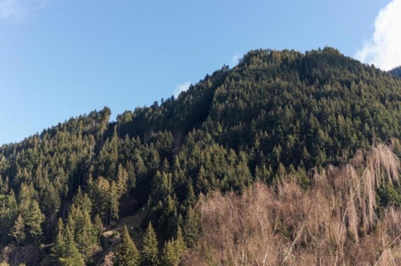 Mountain View City Apartment Queenstown Zewnętrze zdjęcie